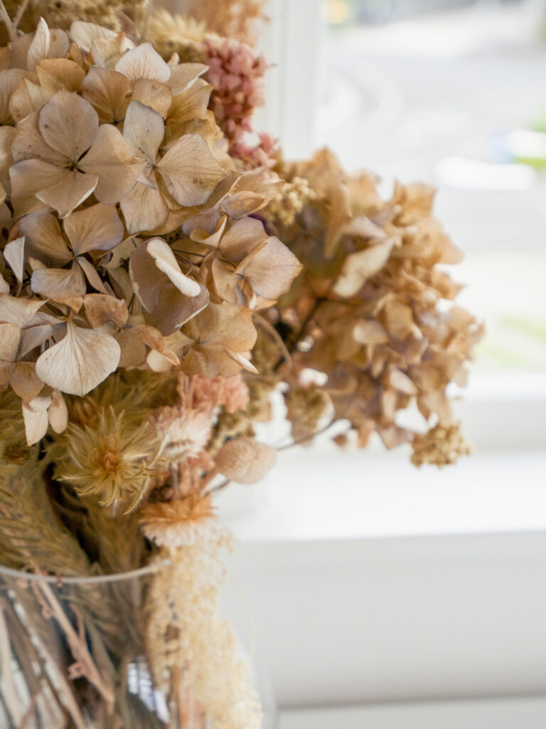 Trg 2 plunket terrace 26